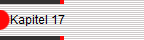 Kapitel 17